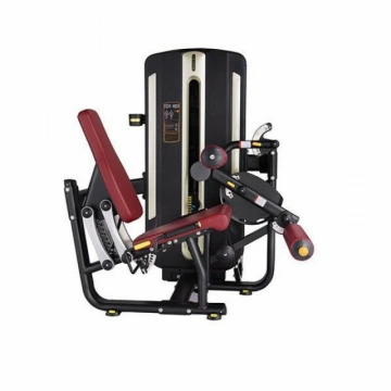 Máy đá đùi trước 