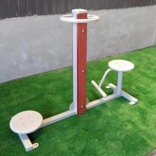 Xoay eo 2 đĩa ngoài trời cao cấp